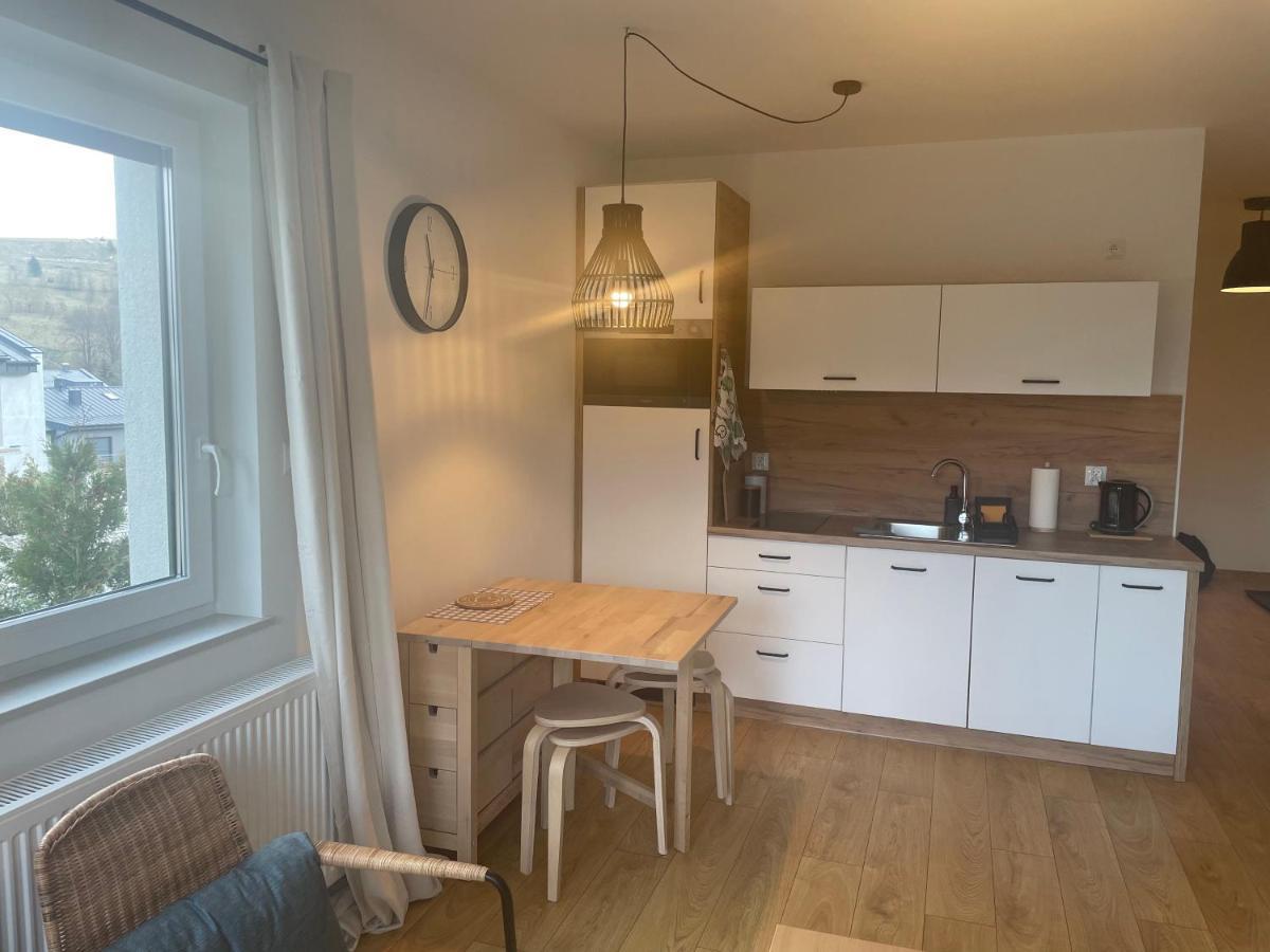Apartament Kuba Na Spokojnej Wisla Ngoại thất bức ảnh
