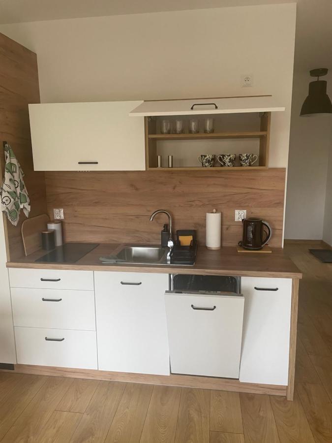 Apartament Kuba Na Spokojnej Wisla Ngoại thất bức ảnh